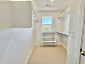 Walk in closet featuring light carpet