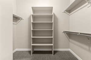 Walk in closet featuring light colored carpet