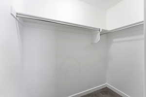 Walk in closet featuring carpet