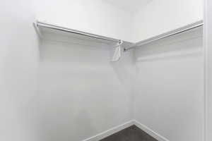 Walk in closet with dark colored carpet