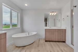 Bathroom with vanity, a freestanding tub, light wood-type flooring, a mountain view, and a stall shower