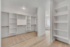 Spacious closet featuring light colored carpet and light wood-style floors
