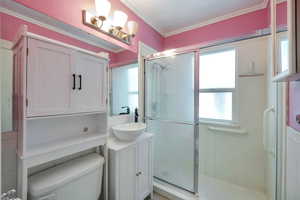 Bathroom featuring vanity, crown molding, a shower stall, and plenty of natural light