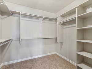 Master Suite Spacious closet with carpet floors