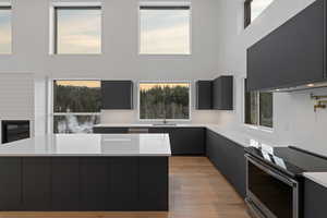 Kitchen with modern cabinets, dark cabinets, stainless steel electric stove, a center island, and light wood-style flooring