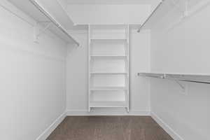 Spacious closet with dark carpet