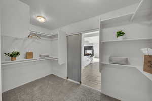 Spacious closet with light carpet