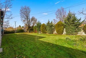 View of grassy yard