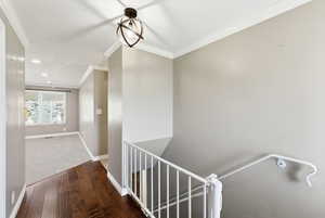 Stairs featuring crown molding, wood-type flooring, and recessed lighting