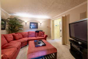 Cozy basement family/tv room