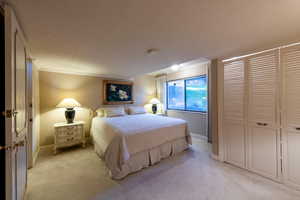 Nice sized bedroom with large window above grade and closet