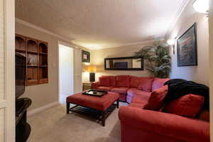 Cozy basement family/tv room