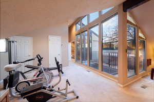 Exercise room off media/family room with wonderful daylight windows overlooking rooftop hot tub deck