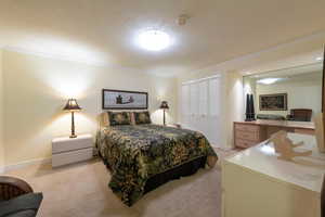 Large fourth bedroom in basement (non conforming due to lack of windows)