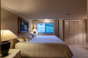 Nice sized bedroom with large window above grade and closet