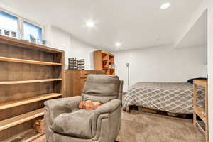 North Unit Bsmnt Bedroom