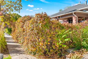 View of side of property featuring roof with shingles
