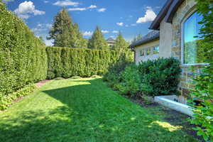 View of grassy yard