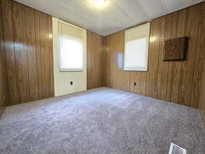 Carpeted spare room featuring wood walls