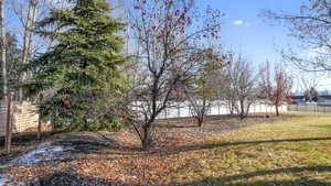 View of fenced backyard