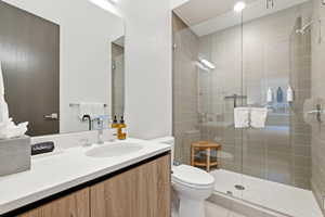 Full bathroom featuring vanity and a shower stall