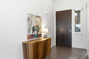 Foyer entrance with dark wood-style floors