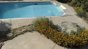 Outdoor pool featuring a patio area