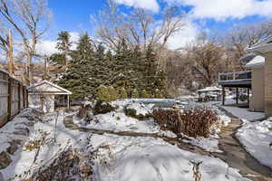 Yard covered in snow featuring view of wooded area