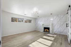 Basement Master Bedroom