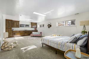 Basement Bedroom/Flex Room