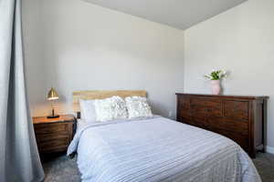 Bedroom with dark carpet