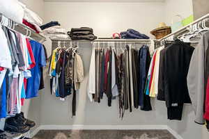 Spacious closet with carpet floors