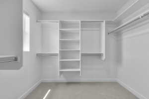 Spacious closet with light carpet