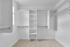 Spacious closet featuring light colored carpet