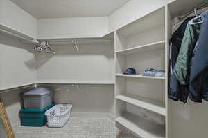 View of walk in closet
