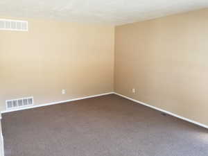Unfurnished room with carpet and a textured ceiling