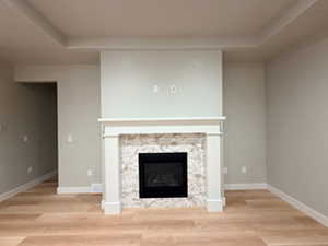 Unfurnished living room with a tray ceiling, a fireplace, and light wood finished floors