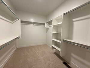 Spacious closet featuring light carpet