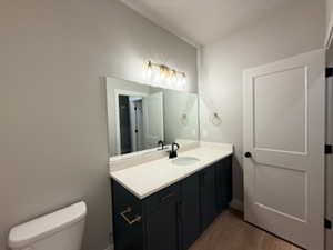Bathroom with vanity and dark wood-style flooring