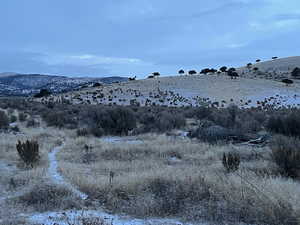 View of mountain background