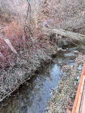 View of stream through backyard