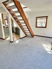 Living room featuring light colored carpet and baseboards