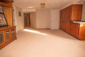 Unfurnished living room featuring light carpet and a textured ceiling