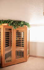 Relaxing sauna / steam room with carpet flooring and baseboards