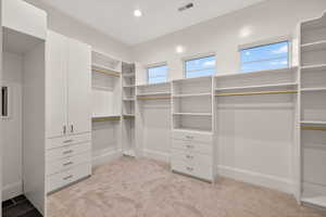 Spacious closet featuring light colored carpet