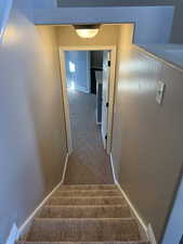 Stairway with baseboards and carpet flooring