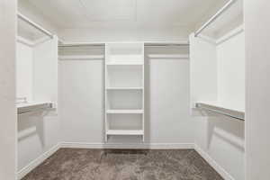 Spacious closet featuring dark carpet
