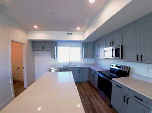 Kitchen featuring stainless steel appliances, dark wood-style floors, gray cabinetry, and recessed lighting
