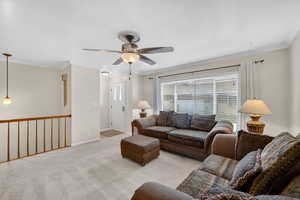 Living room with crown molding, carpet flooring, and a ceiling fan