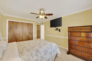 Bedroom with crown molding, chair rail, ceiling fan, and light carpet